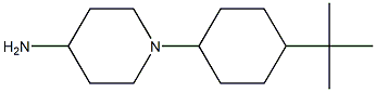 1-(4-tert-butylcyclohexyl)piperidin-4-amine Struktur