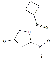 1-(cyclobutylcarbonyl)-4-hydroxypyrrolidine-2-carboxylic acid Structure