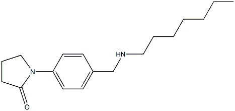 1-{4-[(heptylamino)methyl]phenyl}pyrrolidin-2-one 结构式