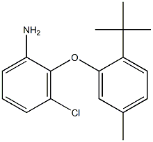 2-(2-tert-butyl-5-methylphenoxy)-3-chloroaniline 结构式