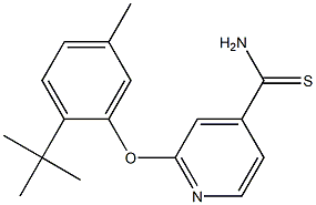 2-(2-tert-butyl-5-methylphenoxy)pyridine-4-carbothioamide Struktur