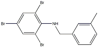 2,4,6-tribromo-N-[(3-methylphenyl)methyl]aniline 结构式