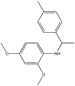 2,4-dimethoxy-N-[1-(4-methylphenyl)ethyl]aniline