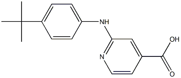 2-[(4-tert-butylphenyl)amino]pyridine-4-carboxylic acid 结构式