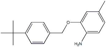 2-[(4-tert-butylphenyl)methoxy]-4-methylaniline 结构式