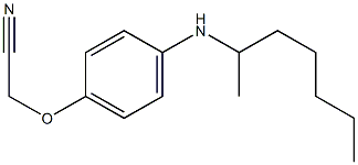 2-[4-(heptan-2-ylamino)phenoxy]acetonitrile|