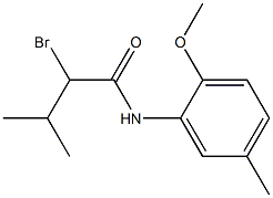 2-bromo-N-(2-methoxy-5-methylphenyl)-3-methylbutanamide Structure