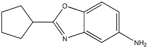 2-cyclopentyl-1,3-benzoxazol-5-amine Struktur