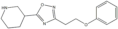 3-(2-phenoxyethyl)-5-(piperidin-3-yl)-1,2,4-oxadiazole Struktur