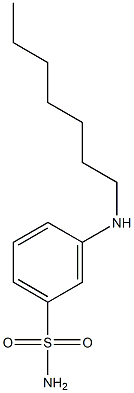 3-(heptylamino)benzene-1-sulfonamide Structure