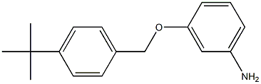 3-[(4-tert-butylphenyl)methoxy]aniline Struktur