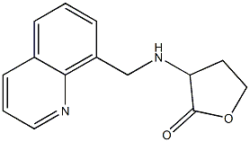 3-[(quinolin-8-ylmethyl)amino]oxolan-2-one|