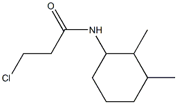 3-chloro-N-(2,3-dimethylcyclohexyl)propanamide 结构式