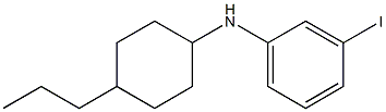 3-iodo-N-(4-propylcyclohexyl)aniline 结构式