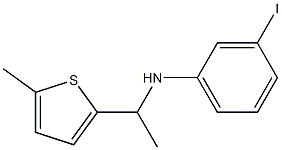3-iodo-N-[1-(5-methylthiophen-2-yl)ethyl]aniline 结构式
