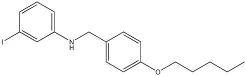 3-iodo-N-{[4-(pentyloxy)phenyl]methyl}aniline Structure