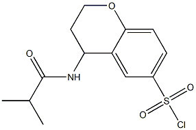 4-(2-methylpropanamido)-3,4-dihydro-2H-1-benzopyran-6-sulfonyl chloride|