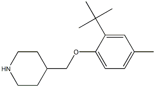 4-(2-tert-butyl-4-methylphenoxymethyl)piperidine Struktur
