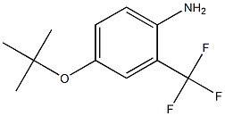 4-(tert-butoxy)-2-(trifluoromethyl)aniline
