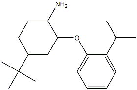 4-tert-butyl-2-[2-(propan-2-yl)phenoxy]cyclohexan-1-amine