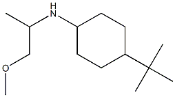 4-tert-butyl-N-(1-methoxypropan-2-yl)cyclohexan-1-amine Structure