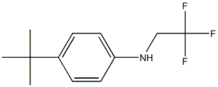 4-tert-butyl-N-(2,2,2-trifluoroethyl)aniline