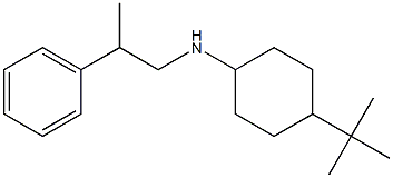 4-tert-butyl-N-(2-phenylpropyl)cyclohexan-1-amine Structure