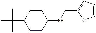 4-tert-butyl-N-(thiophen-2-ylmethyl)cyclohexan-1-amine