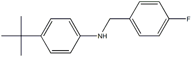 4-tert-butyl-N-[(4-fluorophenyl)methyl]aniline 化学構造式