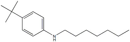 4-tert-butyl-N-heptylaniline Structure