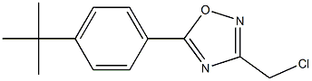 5-(4-tert-butylphenyl)-3-(chloromethyl)-1,2,4-oxadiazole