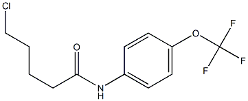 5-chloro-N-[4-(trifluoromethoxy)phenyl]pentanamide