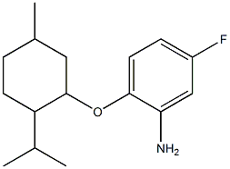 5-fluoro-2-{[5-methyl-2-(propan-2-yl)cyclohexyl]oxy}aniline Structure