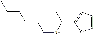 hexyl[1-(thiophen-2-yl)ethyl]amine|