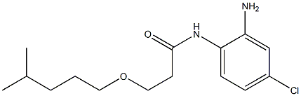 N-(2-amino-4-chlorophenyl)-3-[(4-methylpentyl)oxy]propanamide