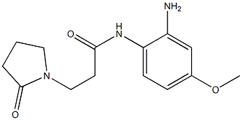 N-(2-amino-4-methoxyphenyl)-3-(2-oxopyrrolidin-1-yl)propanamide