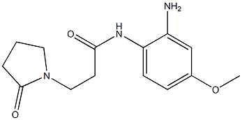 N-(2-amino-4-methoxyphenyl)-3-(2-oxopyrrolidin-1-yl)propanamide Structure