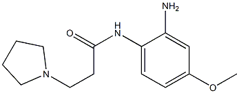 N-(2-amino-4-methoxyphenyl)-3-pyrrolidin-1-ylpropanamide Structure