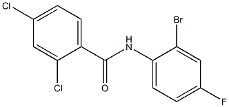 N-(2-bromo-4-fluorophenyl)-2,4-dichlorobenzamide Struktur