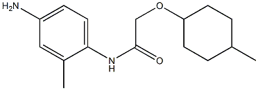 N-(4-amino-2-methylphenyl)-2-[(4-methylcyclohexyl)oxy]acetamide