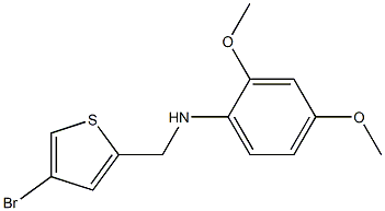 N-[(4-bromothiophen-2-yl)methyl]-2,4-dimethoxyaniline Structure