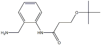 N-[2-(aminomethyl)phenyl]-3-(tert-butoxy)propanamide
