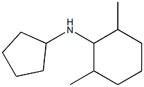N-cyclopentyl-2,6-dimethylcyclohexan-1-amine Structure