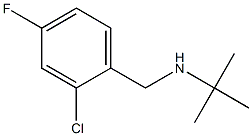 tert-butyl[(2-chloro-4-fluorophenyl)methyl]amine Struktur