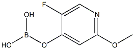 2-甲氧基-5-氟吡啶-4-硼酸, , 结构式