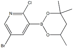 5-Bromo-2-chloro-3-(4,4,6-trimethyl-1,3,2-dioxaborinan-2-yl)pyridine Structure