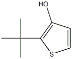 2-tert-Butylthiophen-3-ol Struktur