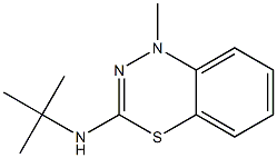 3-tert-Butylamino-1-methyl-1H-4,1,2-benzothiadiazine Struktur