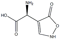 (S)-2-[(2,5-Dihydro-5-oxoisoxazol)-4-yl]-2-aminoacetic acid 结构式