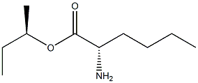 (R)-2-Aminohexanoic acid (S)-1-methylpropyl ester Struktur